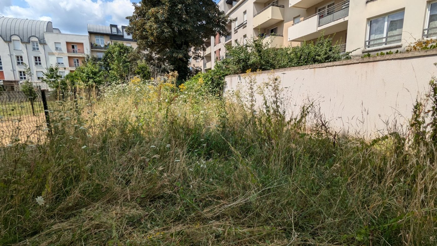 Extérieurs d’une résidence : avant débroussaillage